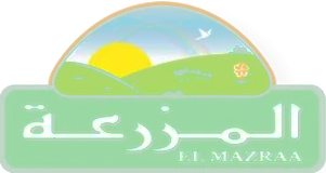 El Mazraa